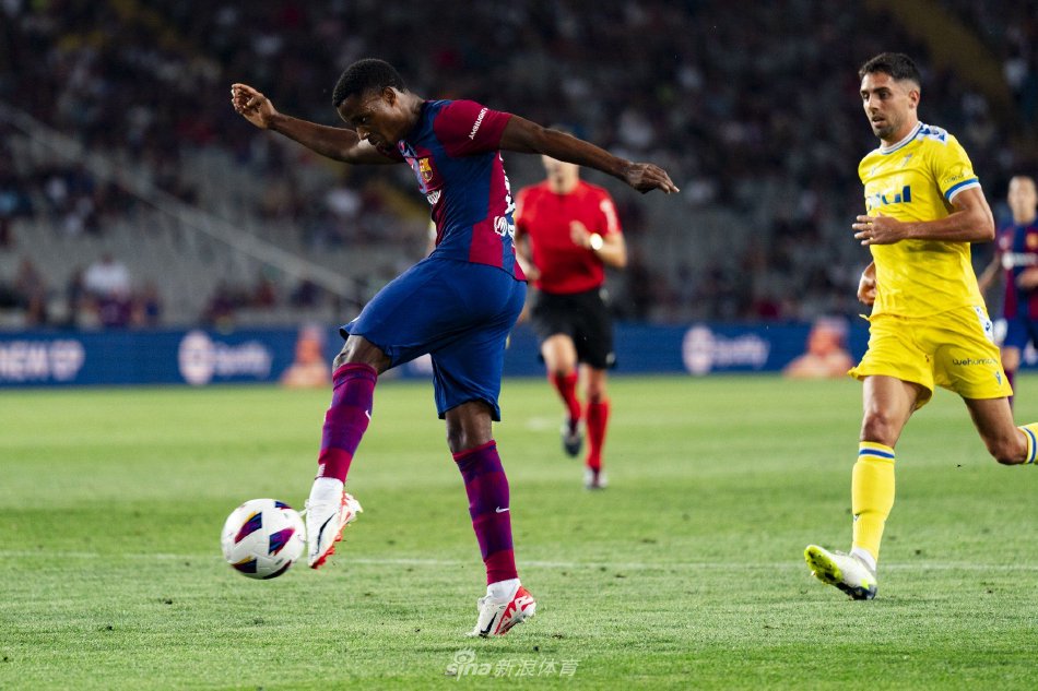 力与适配度 力与适配度